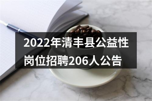 2022年清丰县公益性岗位招聘206人公告 图片