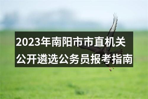 2023年南阳市市直机关公开遴选公务员报考指南 图片