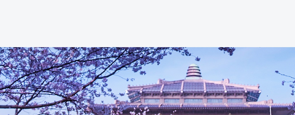 2026年河南省定向武汉大学选调应届优秀大学毕业生公告 图片