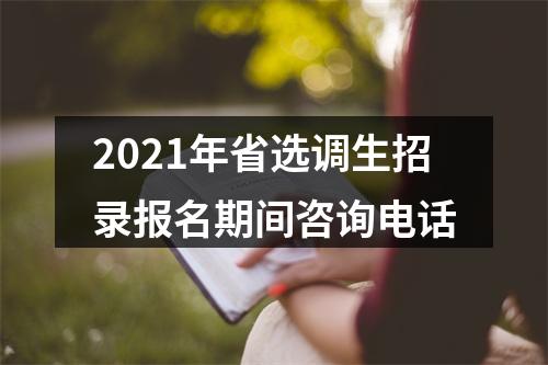 2021年省选调生招录报名期间咨询电话 图片