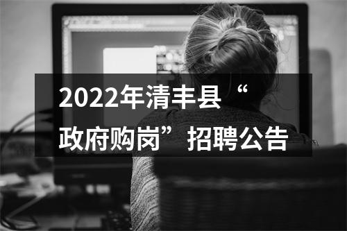 2022年清丰县“政府购岗”招聘公告 图片