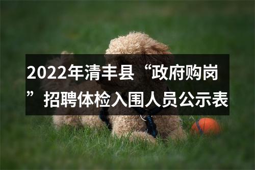 2022年清丰县“政府购岗”招聘体检入围人员公示表 图片