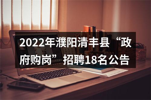 2022年濮阳清丰县“政府购岗”招聘18名公告 图片