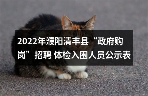 2022年濮阳清丰县“政府购岗”招聘 体检入围人员公示表 图片