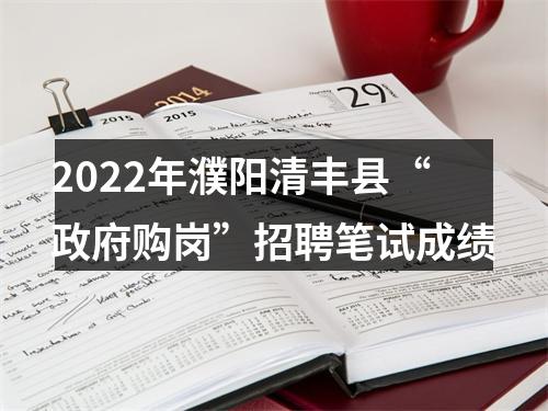 2022年濮阳清丰县“政府购岗”招聘笔试成绩 图片