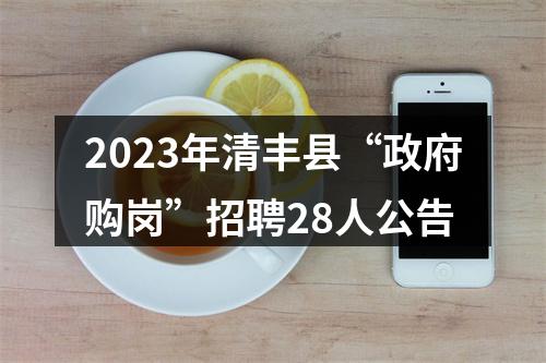 2023年清丰县“政府购岗”招聘28人公告 图片