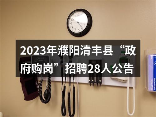 2023年濮阳清丰县“政府购岗”招聘28人公告 图片