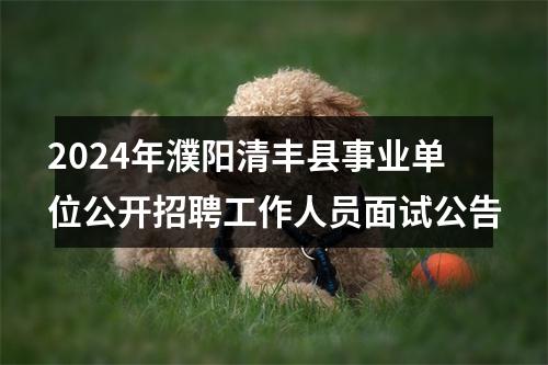 2024年濮阳清丰县事业单位公开招聘工作人员面试公告 图片