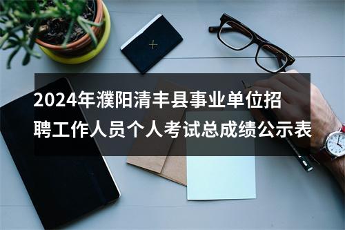 2024年濮阳清丰县事业单位招聘工作人员个人考试总成绩公示表 图片