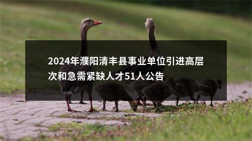 2024年濮阳清丰县事业单位引进高层次和急需紧缺人才51人公告 图片