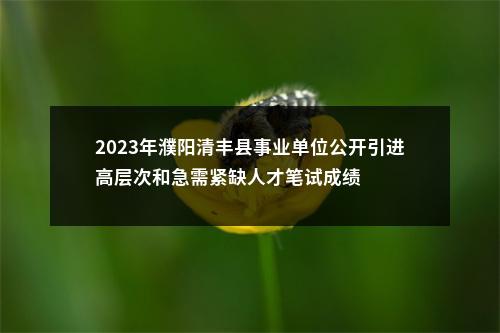 2023年濮阳清丰县事业单位公开引进高层次和急需紧缺人才笔试成绩 图片