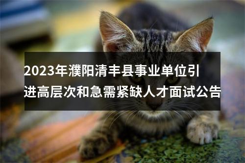 2023年濮阳清丰县事业单位引进高层次和急需紧缺人才面试公告 图片