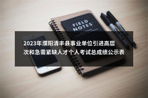 2023年濮阳清丰县事业单位引进高层次和急需紧缺人才个人考试总成绩公示表 图片