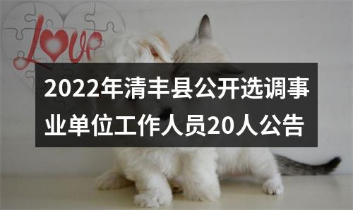 2022年清丰县公开选调事业单位工作人员20人公告 图片