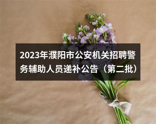 2023年濮阳市公安机关招聘警务辅助人员递补公告（第二批） 图片